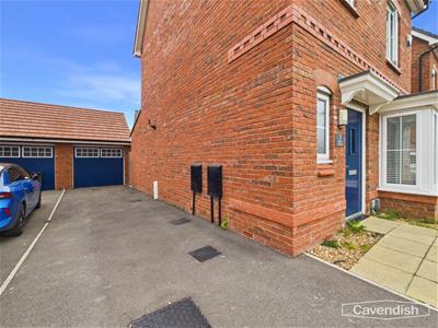 Picture 20